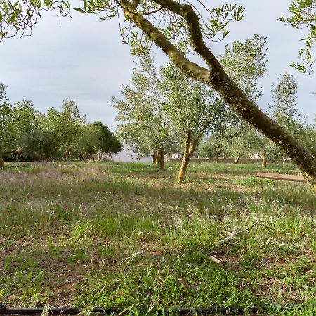 Agroturismo Malbuger Nou Menorca -Adults Only- มาโอน ภายนอก รูปภาพ