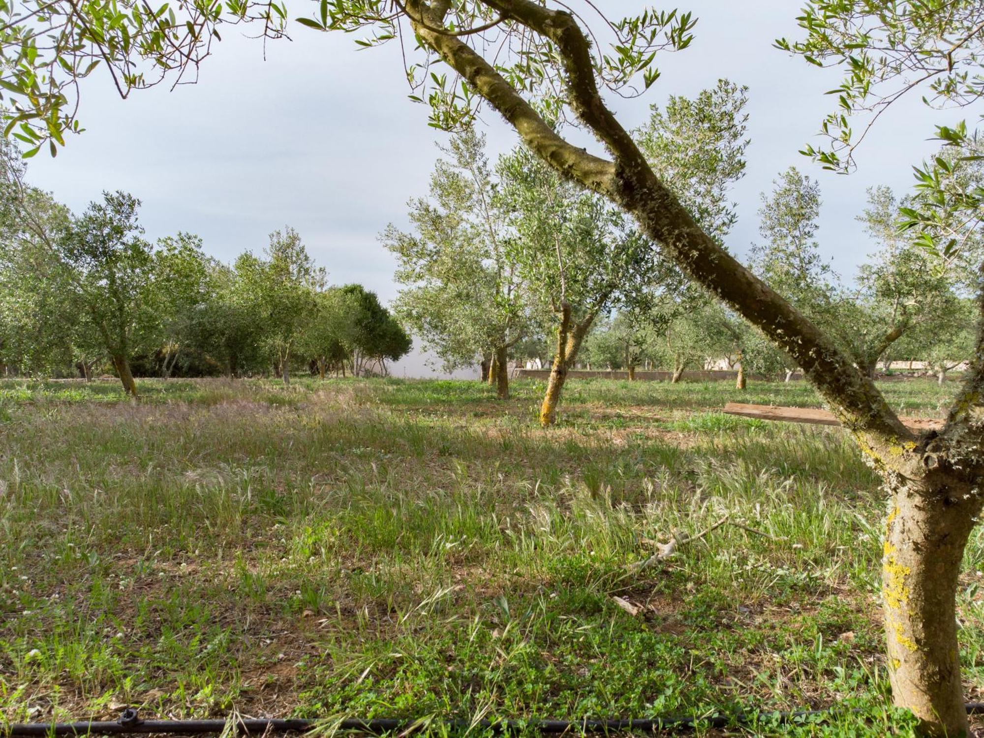 Agroturismo Malbuger Nou Menorca -Adults Only- มาโอน ภายนอก รูปภาพ